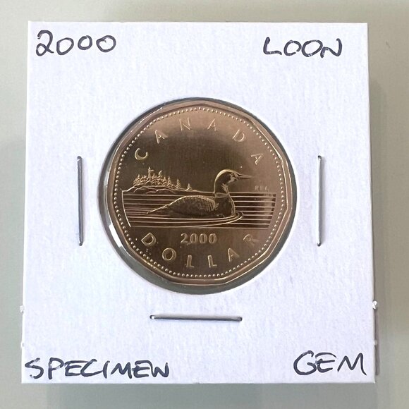 1998, 1999, 2000, 2001 Canada Specimen Finish $1 Dollar Loons! - Picture 7 of 10